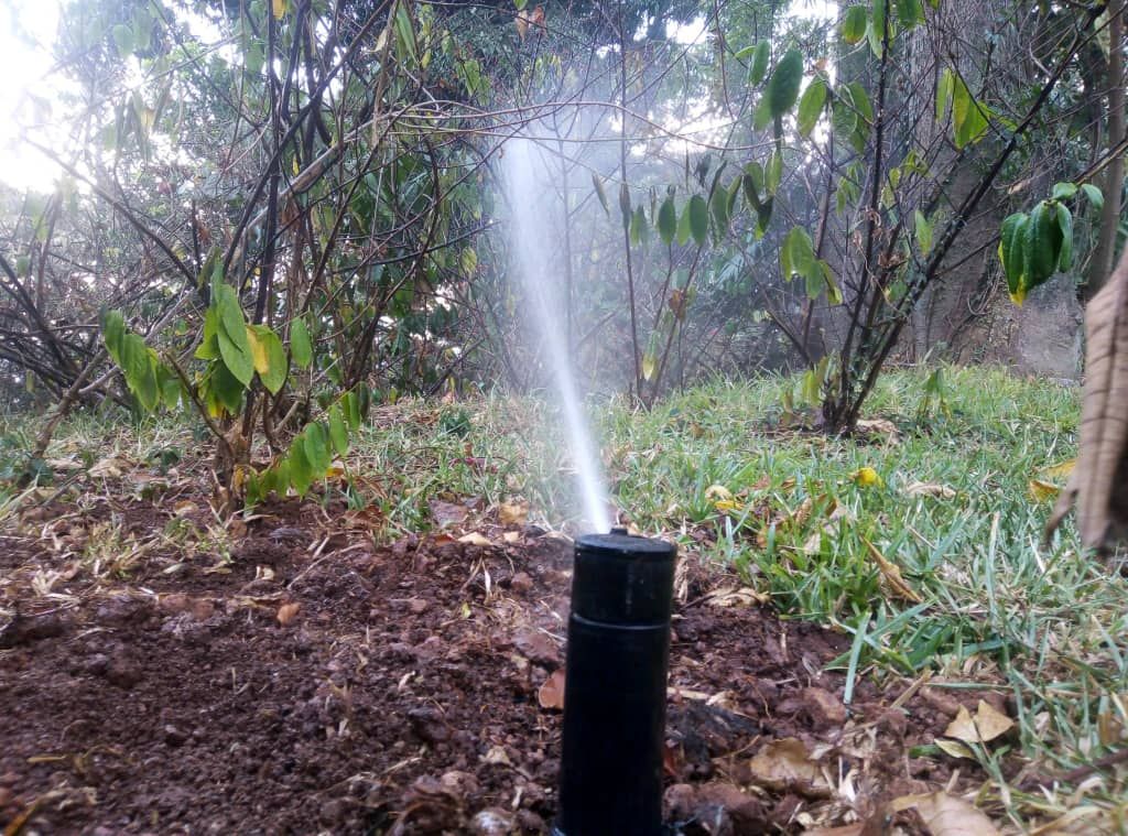 Waste Water Treatment