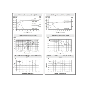 champion-vrla-datasheet