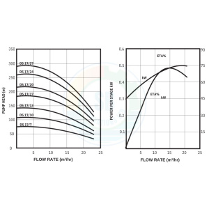 DS 17 Graph