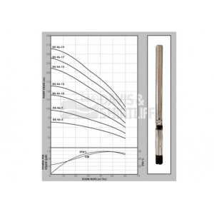 ds46-graph