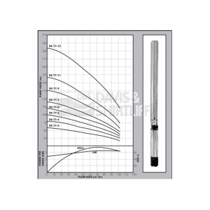 ds77-graph