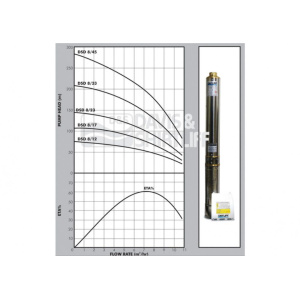 dsd8-graph