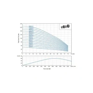SSP 60 Graph