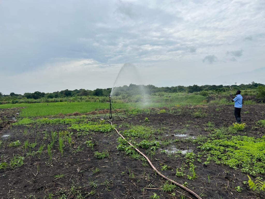 Irrigation Solutions
